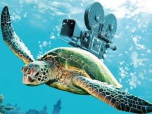 lagunamovies-366x275